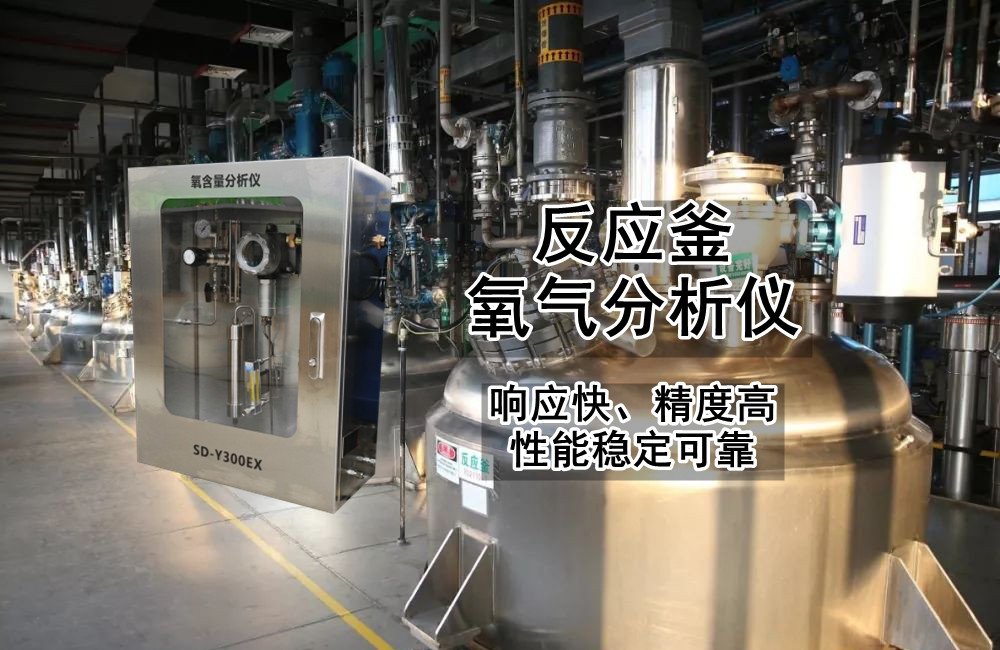 反應釜氧含量分析儀
